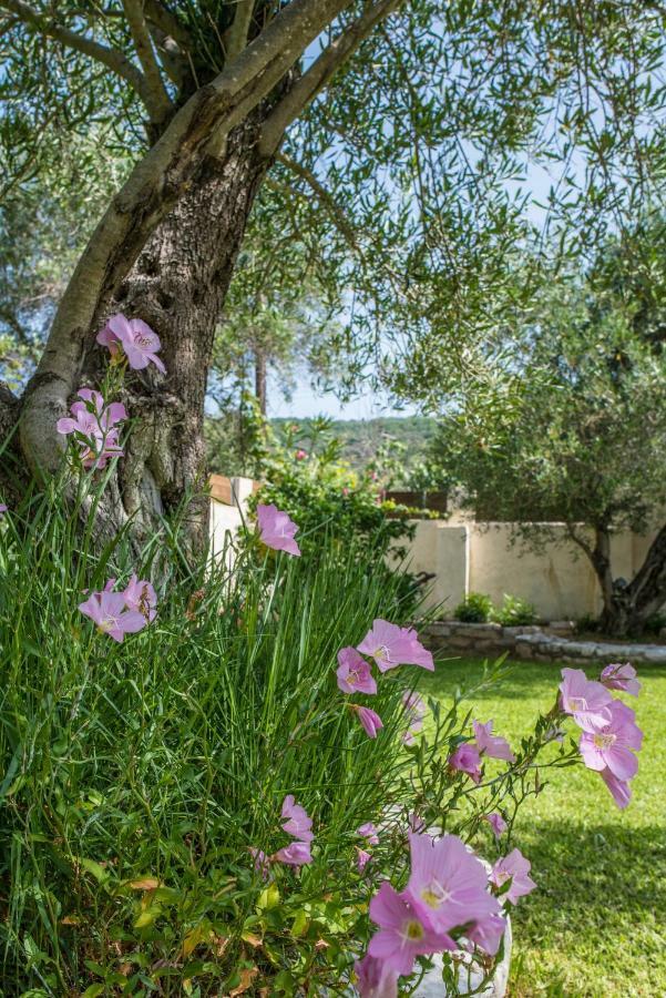 Corfu Villa Linea Linia Exterior photo