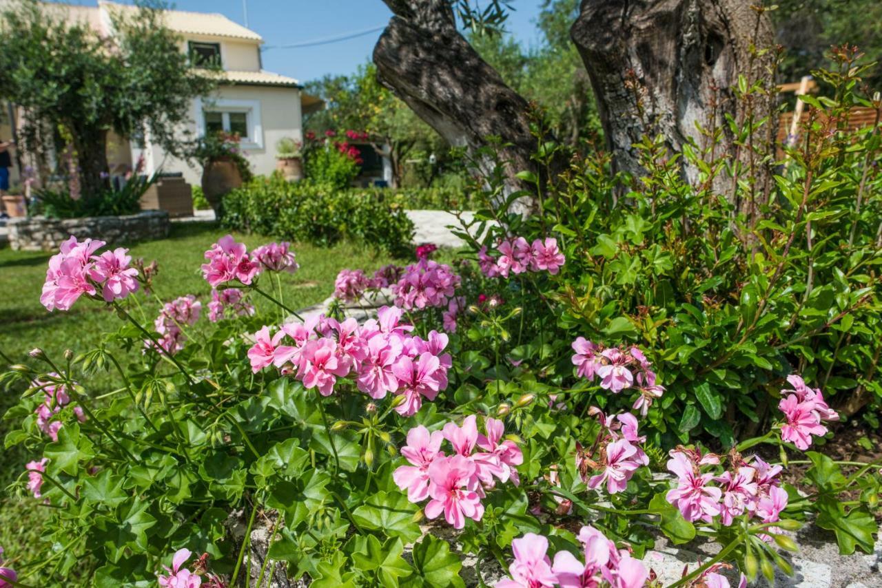 Corfu Villa Linea Linia Exterior photo