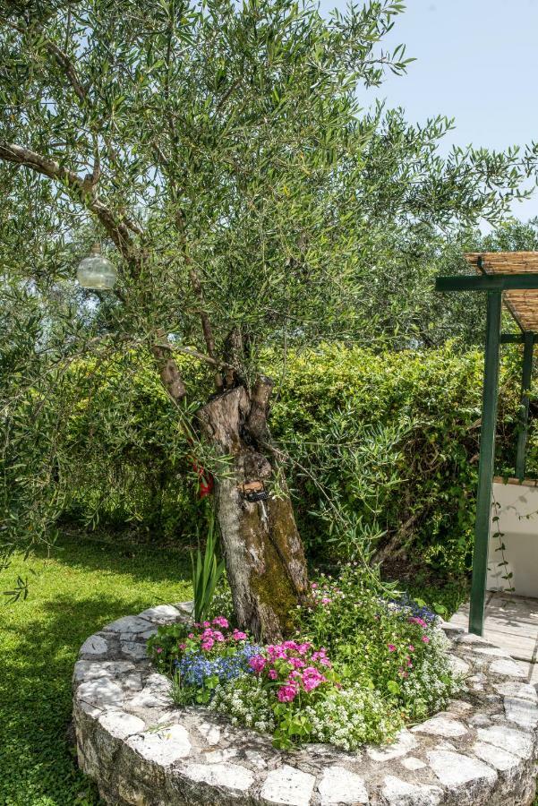 Corfu Villa Linea Linia Exterior photo